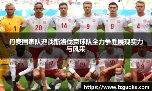 丹麦国家队迎战斯洛伐克球队全力争胜展现实力与风采